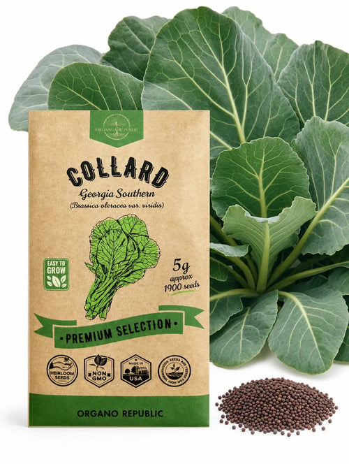 Collard Georgia Southern Seeds