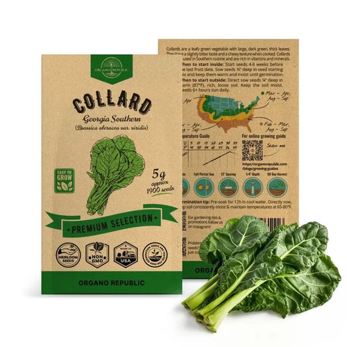 Collard Georgia Southern Seeds Pack 5G - Over 1900 Non-GMO Heirloom Collard Seeds for Planting Vegetable in Individual Seed Packet Vegetables Seeds for Planting Home Garden Indoor & Outdoor Gardening - Organo Republic