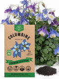 Columbine Flower Seeds – Non-GMO Heirloom
