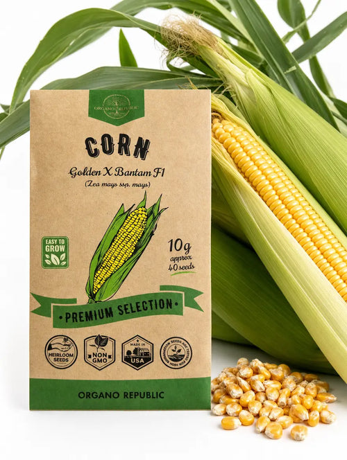 Corn Golden X Bantam F1 Seeds