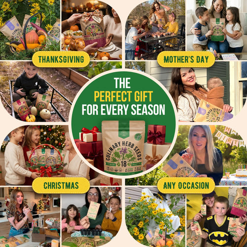 18 Culinary Herb Seeds Variety Pack