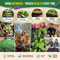 Culinary Herb Seeds Variety Pack Organo Republic