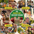 Culinary Herb Seeds Variety Pack Organo Republic