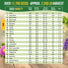 Culinary Herb Seeds Variety Pack Organo Republic