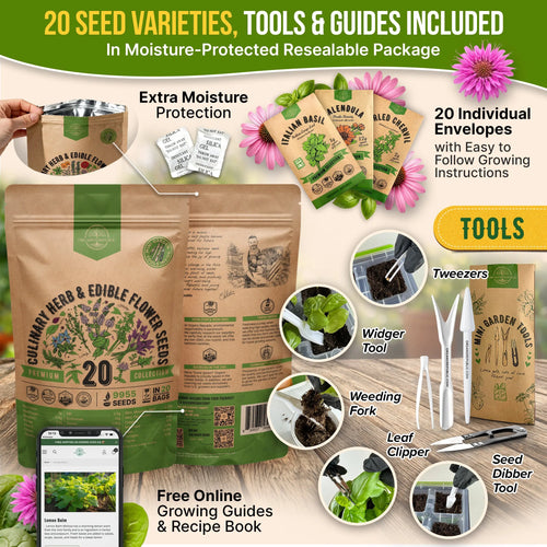 Culinary Herbs & Edible Flower Seeds Variety Pack Organo Republic