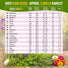 Culinary Herbs & Edible Flower Seeds Variety Pack Organo Republic