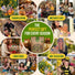Culinary Herbs & Edible Flower Seeds Variety Pack Organo Republic