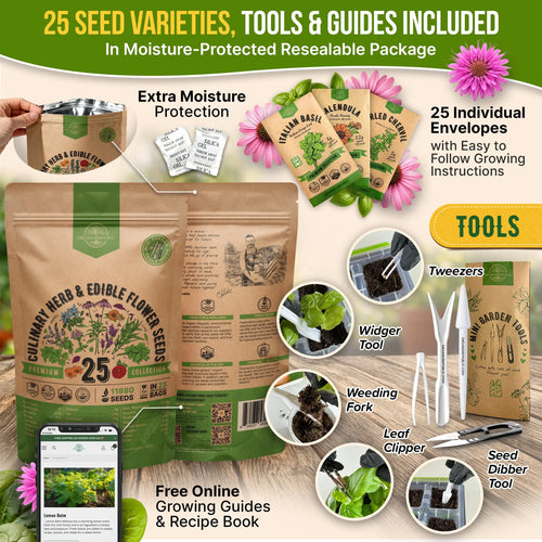 Culinary Herbs & Edible Flower Seeds Variety Pack Organo Republic
