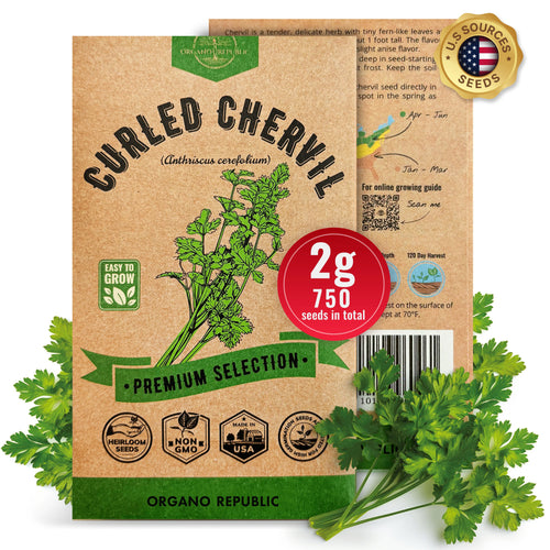 Curled Chervil Seeds Pack 2G