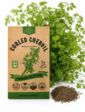 Curled Chervil Seeds – Non-GMO Heirloom