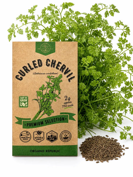 Curled Chervil Seeds