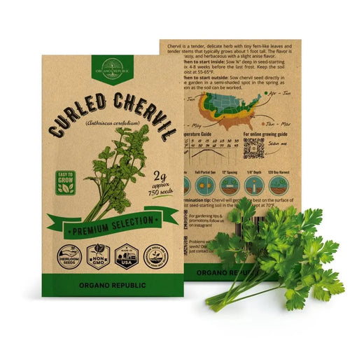 Curled Chervil Seeds Pack 2 G - 750 Non-GMO Heirloom Chervil Seeds for Planting Herbs in Individual Seed Packet, Herb Seeds for Planting Home Garden Indoor & Outdoor Gardening - Organo Republic