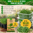 Curled Cress Seeds Pack 5G