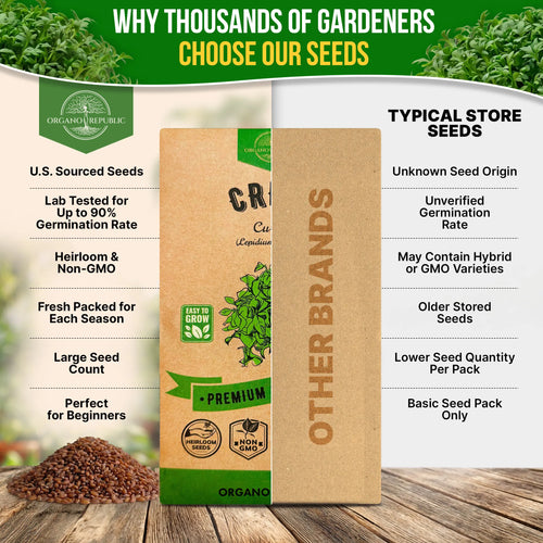 Curled Cress Seeds Pack 5G