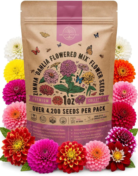 Dahlia Flowered Mix Zinnia Seeds Organo Republic