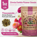 Dahlia Flowered Mix Zinnia Seeds Organo Republic