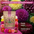 Dahlia Flowered Mix Zinnia Seeds Organo Republic