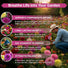 Dahlia Flowered Mix Zinnia Seeds Organo Republic