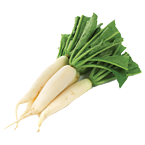Radish White Stem - 3G