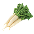 Radish White Stem - 3G
