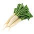 Radish White Stem - 3G