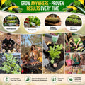 Dark Green Zucchini Seeds Pack 15G