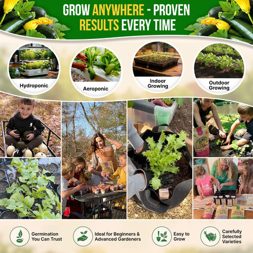 Dark Green Zucchini Seeds Pack 15G