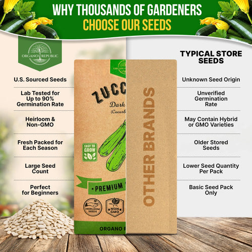 Dark Green Zucchini Seeds Pack 15G