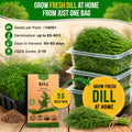 Dill Bouquet Seeds Pack 5G