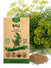 Dill Bouquet Seeds