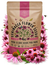 Echinacea Seeds Pack