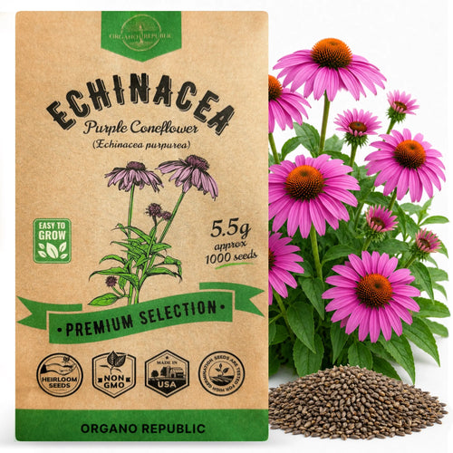 Echinacea Seeds Pack Organo Republic
