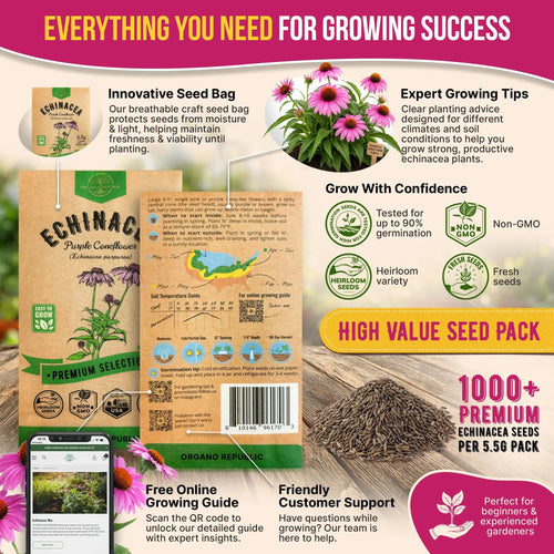 Echinacea Seeds Pack Organo Republic