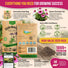 Echinacea Seeds Pack Organo Republic