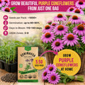 Echinacea Seeds Pack Organo Republic