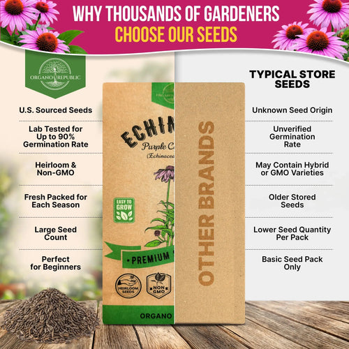 Echinacea Seeds Pack Organo Republic