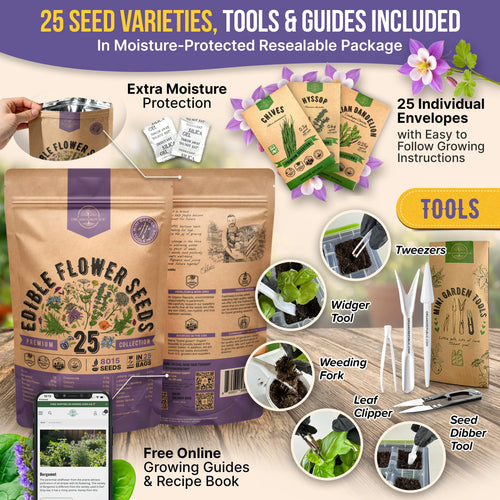 25 Edible Flower Seeds Variety Pack