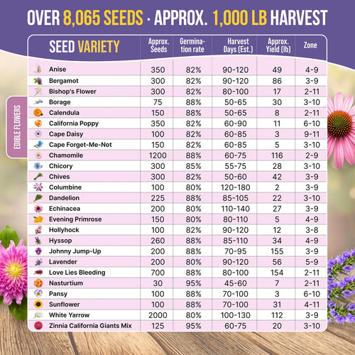 25 Edible Flower Seeds Variety Pack