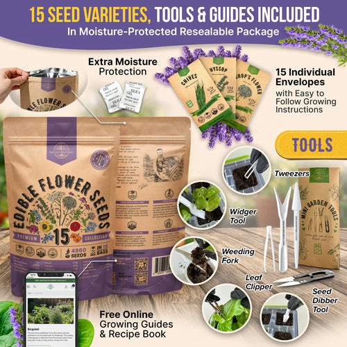 Edible Flower Seeds Variety Pack Organo Republic