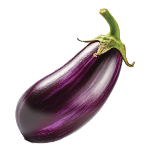 Eggplant Black Beauty - 1G