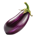 Eggplant Black Beauty - 1G