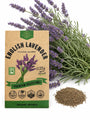 English Lavender Seeds
