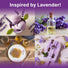English Lavender Seeds Organo Republic