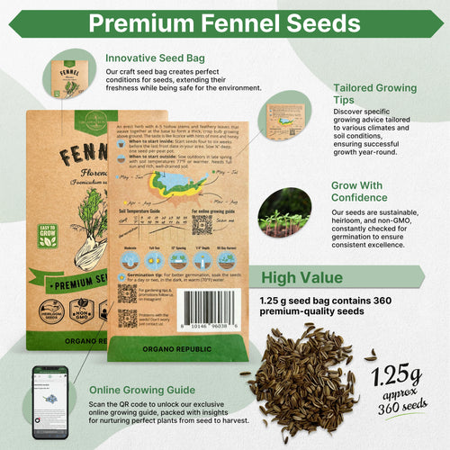 Fennel Florence Seeds Pack 1.25G