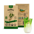 Fennel Florence Seeds Pack 1.25 G - Over 360 Non-GMO Heirloom Fennel Seeds for Planting Herbs in Individual Seed Packet, Herbs Seeds for Planting Home Garden Indoor & Outdoor Gardening - Organo Republic
