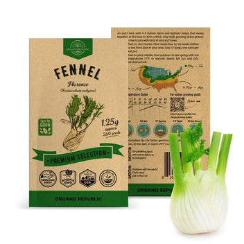 Fennel Florence Seeds Pack 1.25G