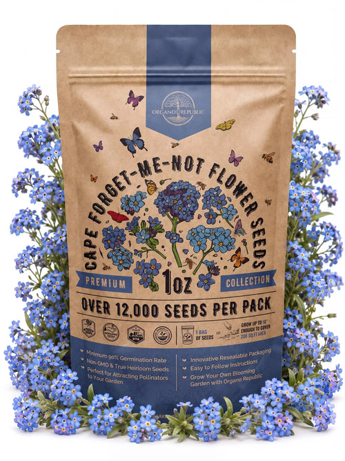 Forget-Me-Not Seeds (Cape) – Non-GMO Heirloom