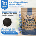 Cape Forget-Me-Not Seeds Organo Republic