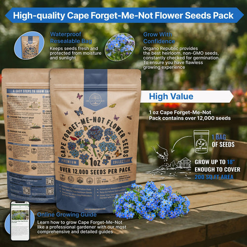 Cape Forget-Me-Not Seeds Organo Republic