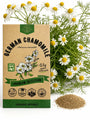 German Chamomile Seeds